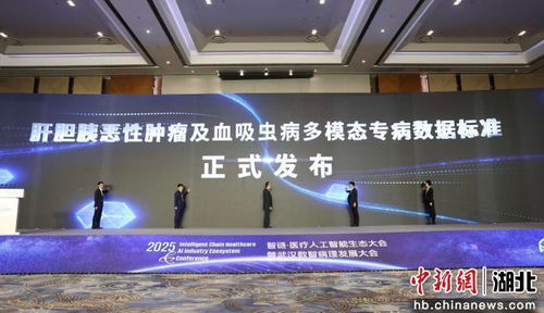 2025智鏈醫療人工智能生態大會啟幕，智能技術驅動醫療健康新未來